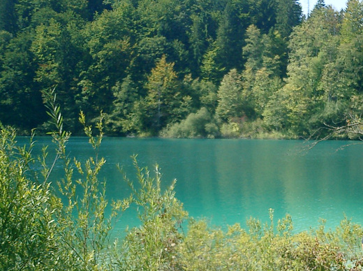 Penziony