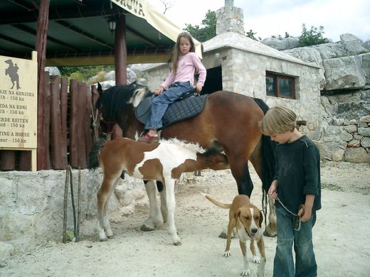 08m - Ranč - jízdy dětí od 10 let.JPG