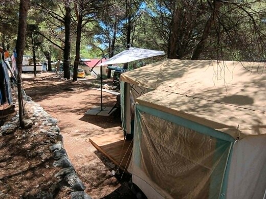 Albena 6 č. 5 c.jpg