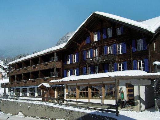 Hotel 047-158  Jungfrau Region  Berner Oberland  Švýcarsko.jpg
