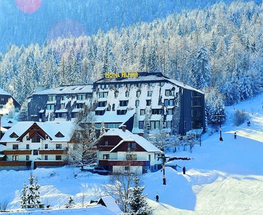 Národní park Triglav - Kranjska Gora - Hotel Alpina.jpg